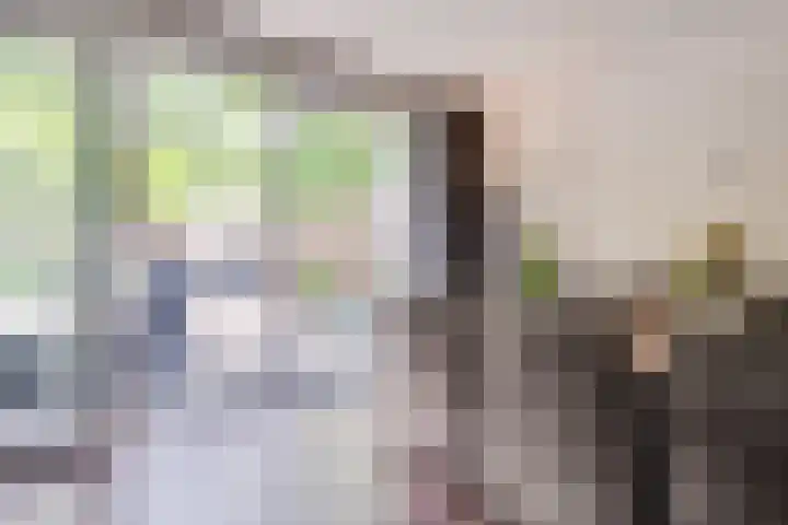 Duinkerkenlaan 49 Eindhoven thumbnail 23