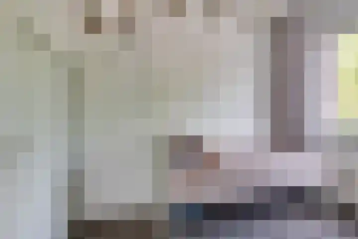 Duinkerkenlaan 49 Eindhoven thumbnail 36