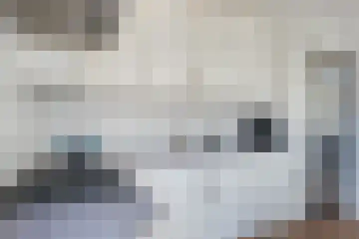 Duinoord 21 Katwijk thumbnail 17