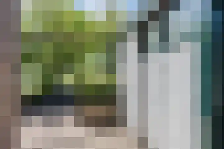 Duinoord 21 Katwijk thumbnail 44