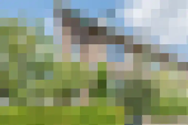 Duinoord 21 Katwijk thumbnail 5