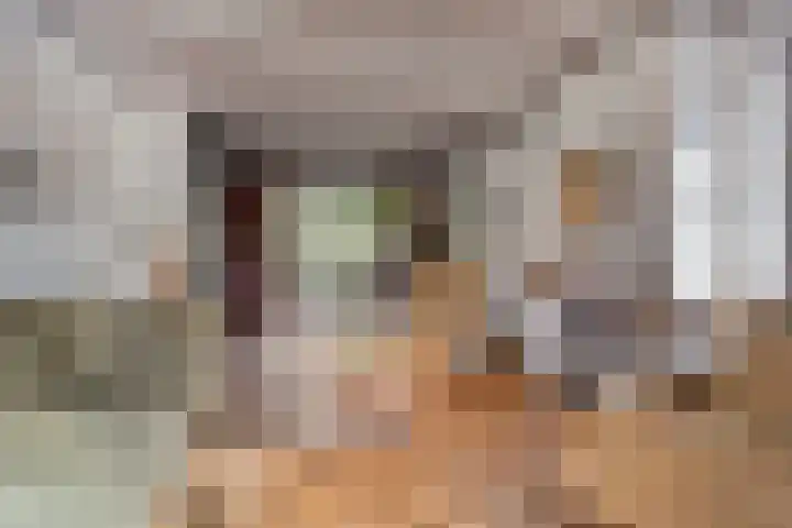 Duinoordseweg 8 Oostvoorne thumbnail 13