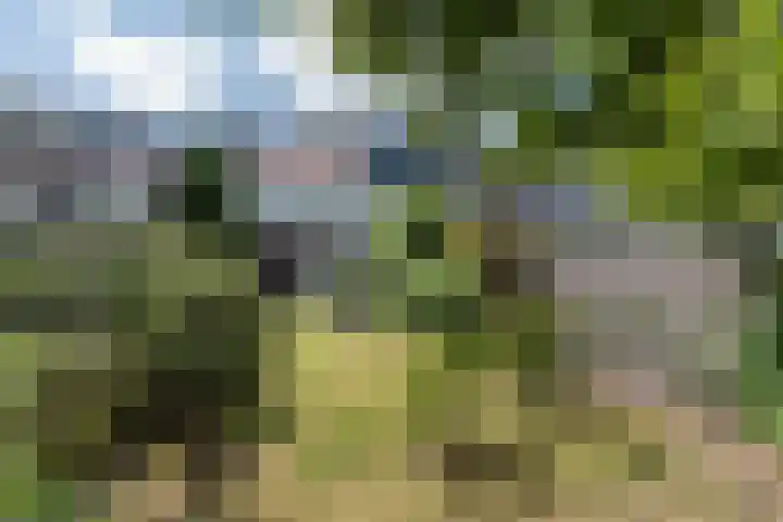 Duinoordstraat 46 Haarlem foto 3