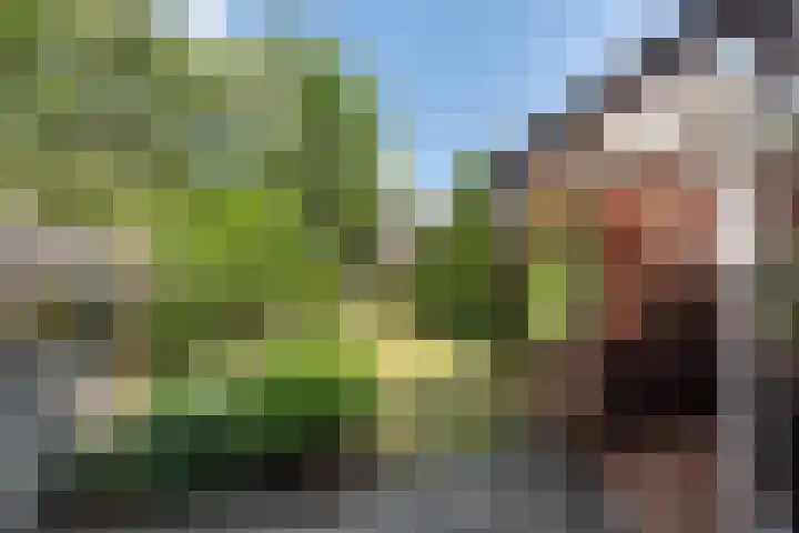 Duinoordstraat 46 Haarlem thumbnail 5