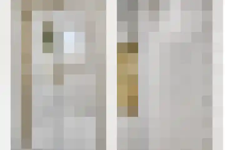 Duinoordstraat 46 Haarlem thumbnail 6