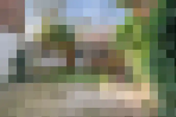 Duinoordstraat 79 Haarlem thumbnail 12