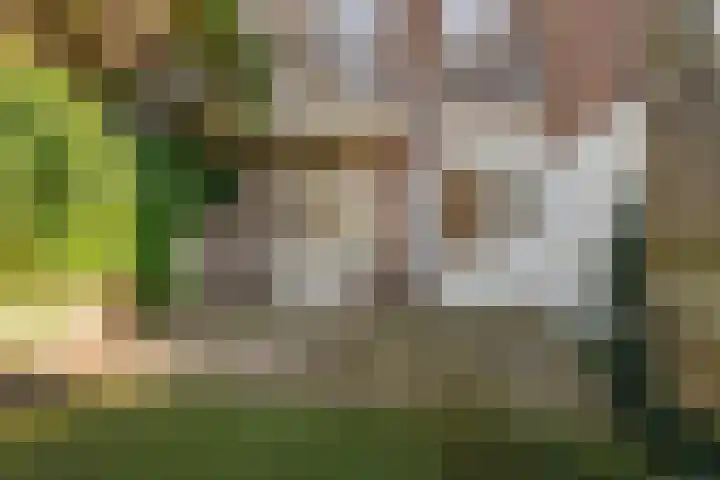 Duinoordstraat 79 Haarlem thumbnail 15