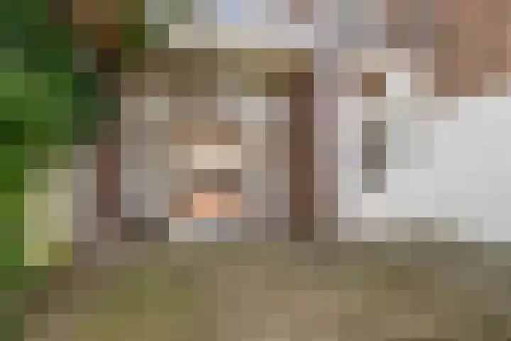 Duinoordstraat 79 Haarlem thumbnail 16