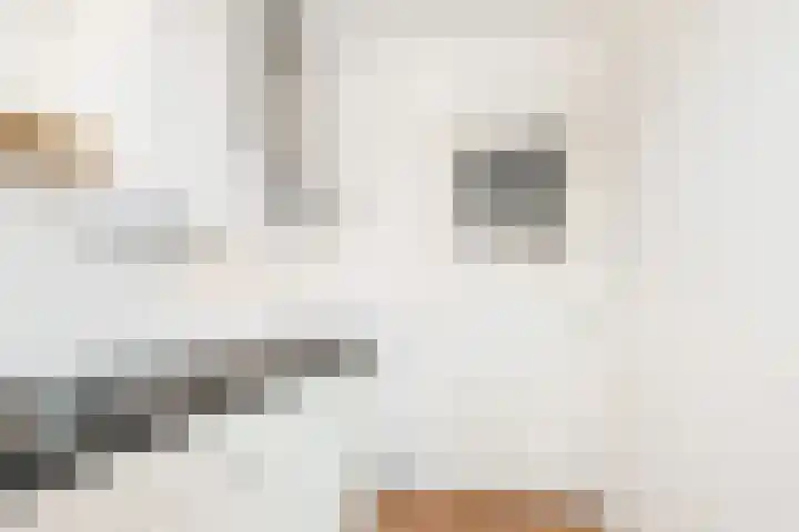 Duinoordstraat 79 Haarlem thumbnail 24