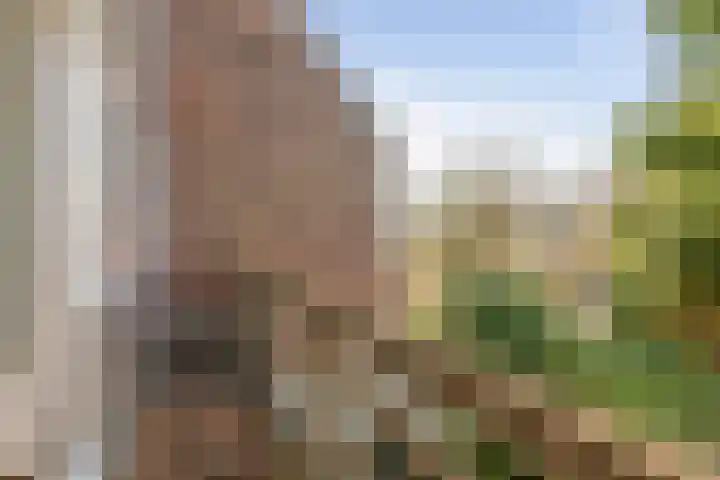 Duinoordstraat 79 Haarlem thumbnail 34