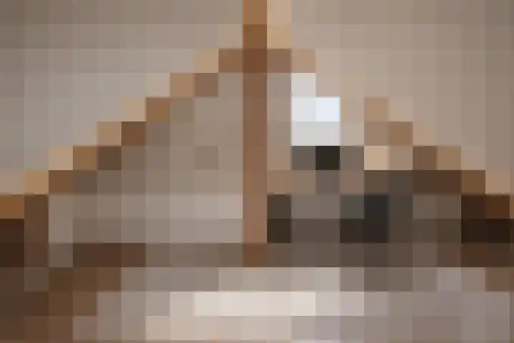 Duinoordstraat 79 Haarlem thumbnail 56