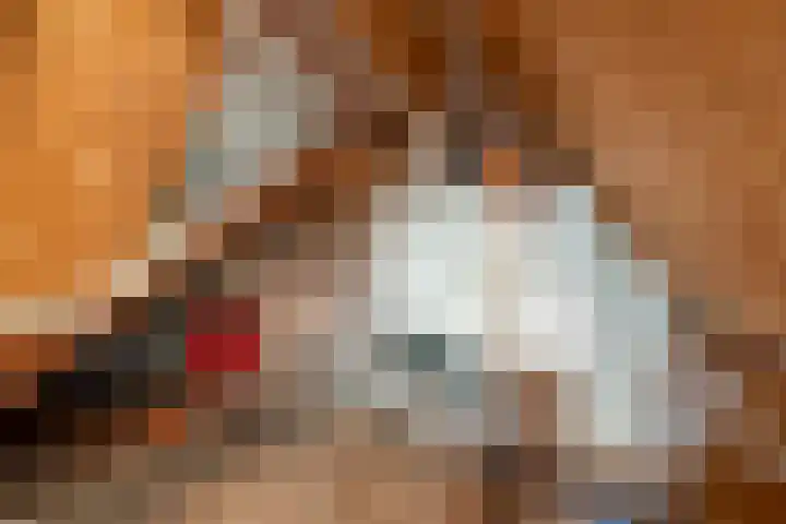 Duinoordstraat 79 Haarlem thumbnail 58