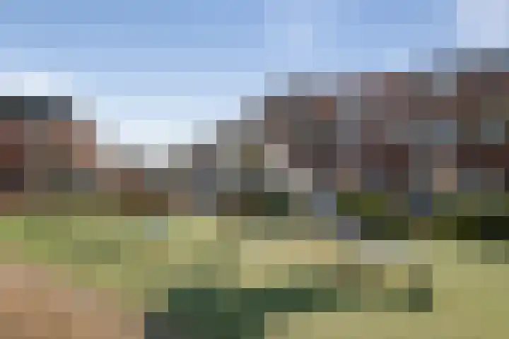 Duinoordstraat 79 Haarlem thumbnail 60