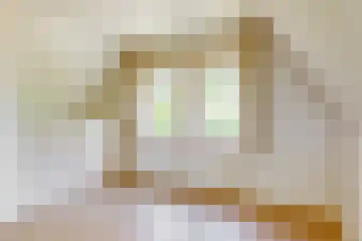 Duinpad 2 a Castricum thumbnail 20