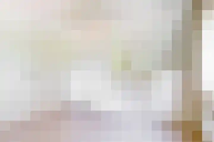 Duinpad 2 a Castricum thumbnail 21