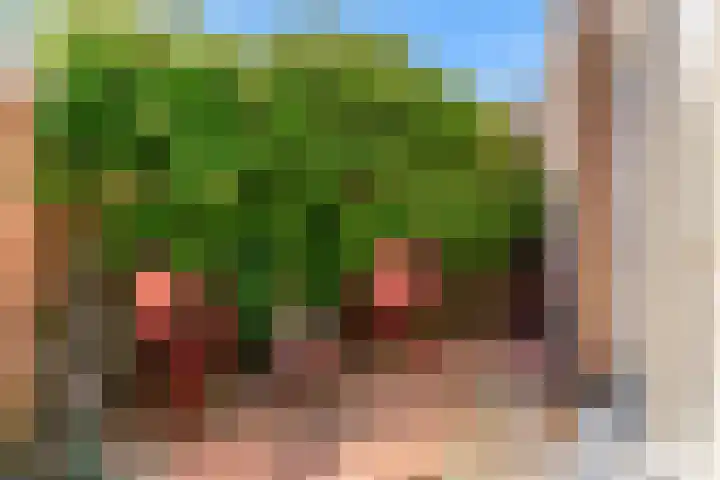 Duinpad 2 a Castricum thumbnail 28