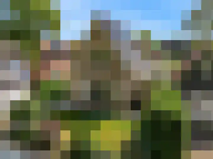 Duinpad 2 a Castricum thumbnail 33