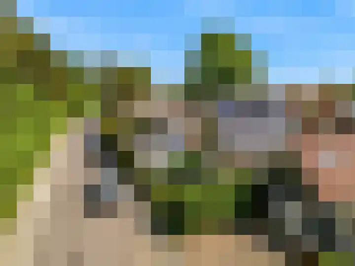 Duinpad 2 a Castricum thumbnail 35