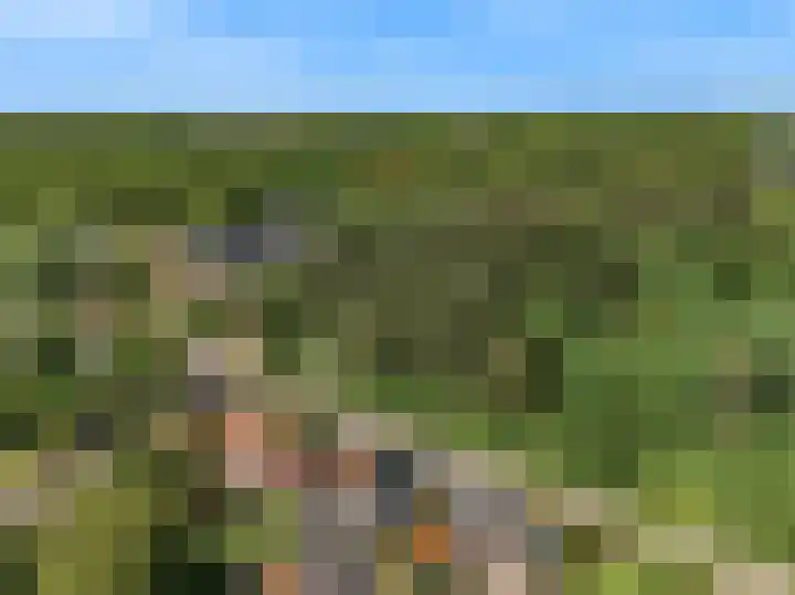 Duinpad 2 a Castricum thumbnail 38