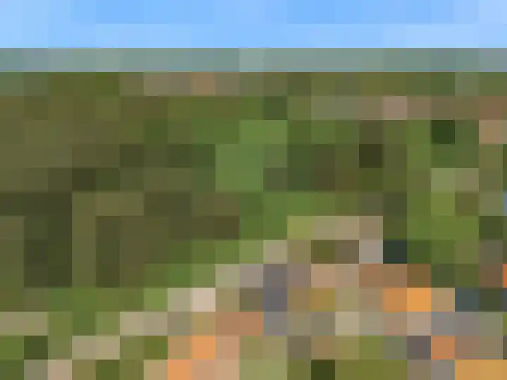 Duinpad 2 a Castricum thumbnail 39