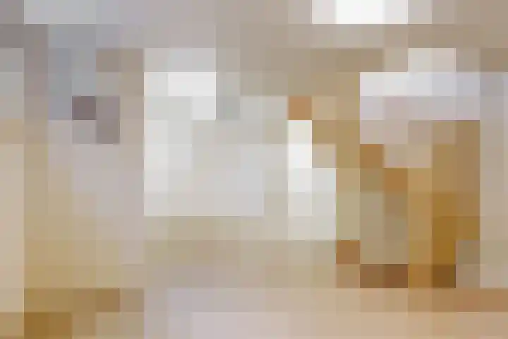 Duinpad 2 a Castricum thumbnail 5