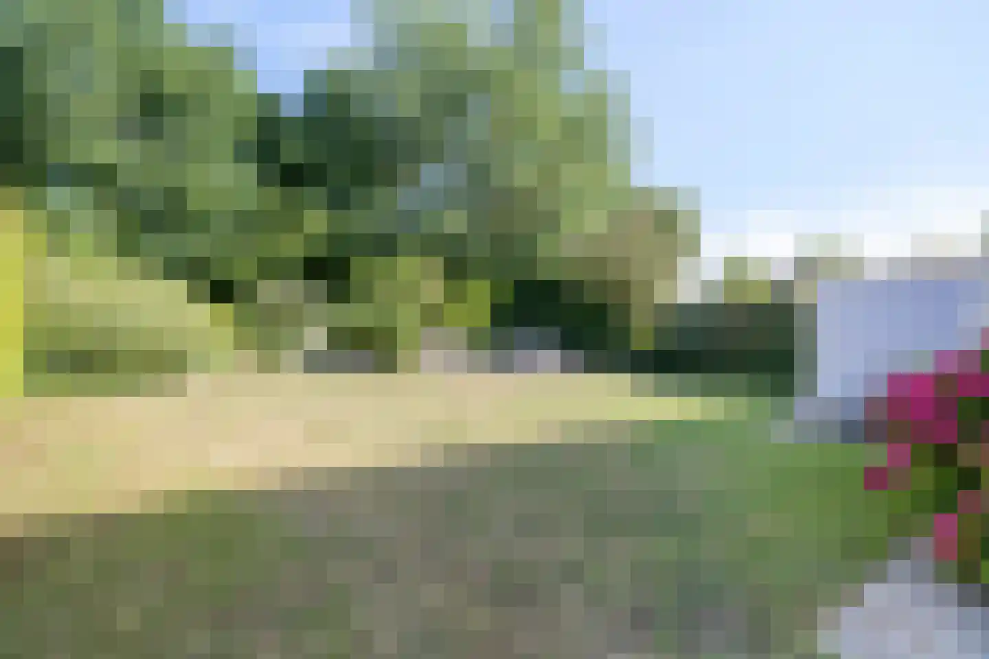 Duinpan 26 Kamperland thumbnail 23