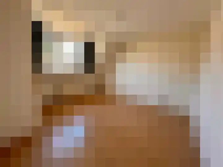 Duinroos 28 Zeewolde thumbnail 17