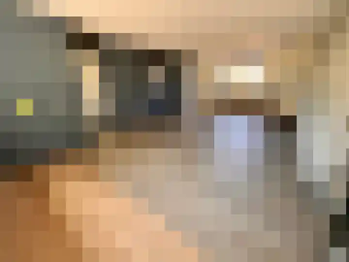Duinroos 28 Zeewolde foto 2