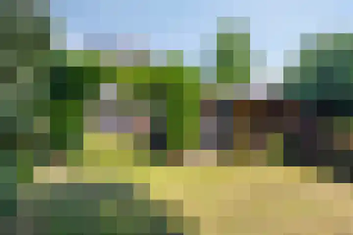 Duinroosstraat 34 Bakel thumbnail 30