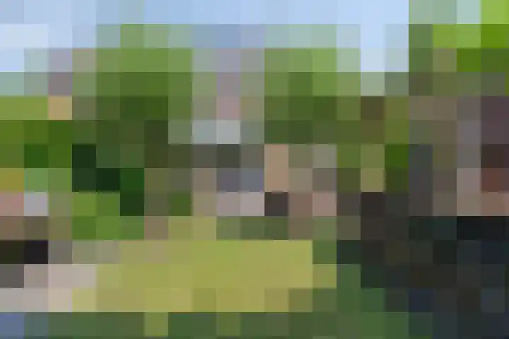 Duinroosstraat 34 Bakel thumbnail 31