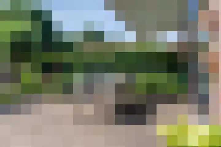Duinroosstraat 34 Bakel thumbnail 33