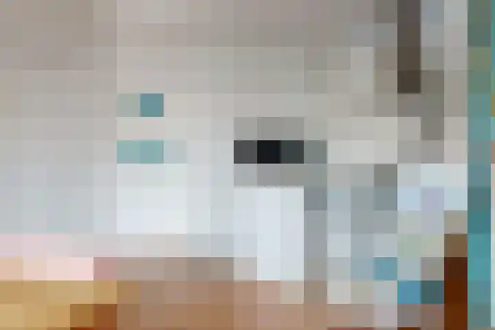 Duinstraat 3 Den Haag thumbnail 11