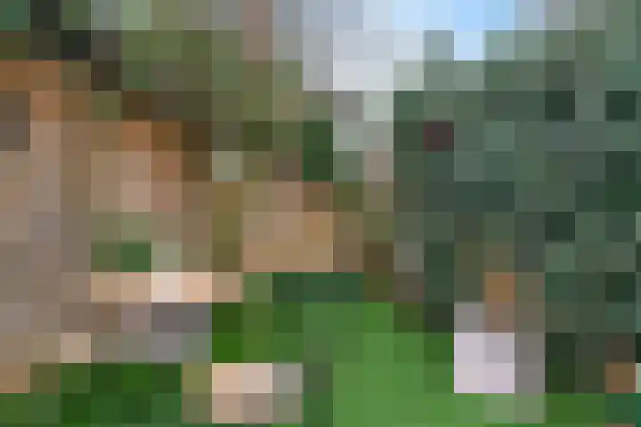 Duinstraat 3 Den Haag thumbnail 20