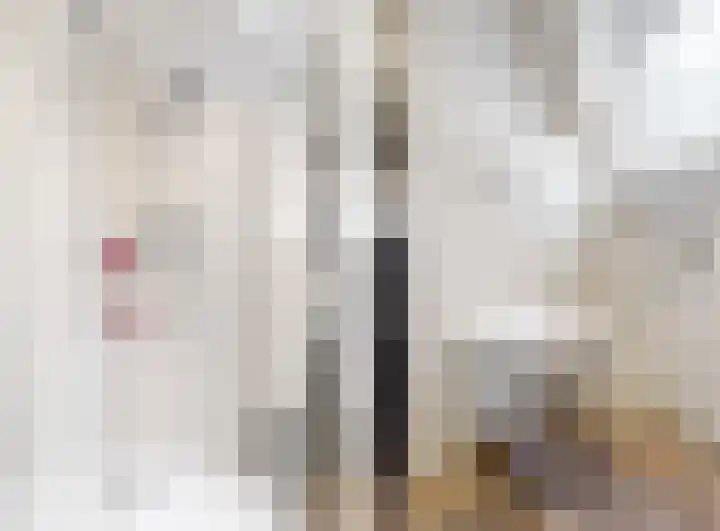 Duinstraat 3 Den Haag thumbnail 33