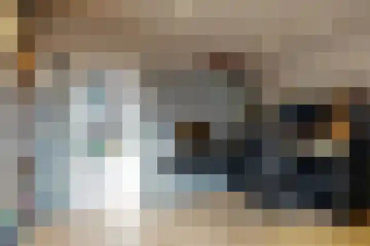 Duinstraat 3 Den Haag thumbnail 37
