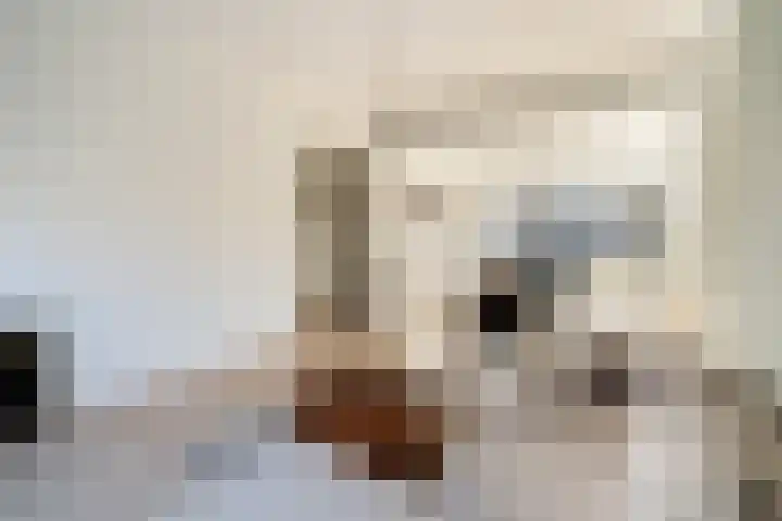 Duinstraat 3 Den Haag thumbnail 39