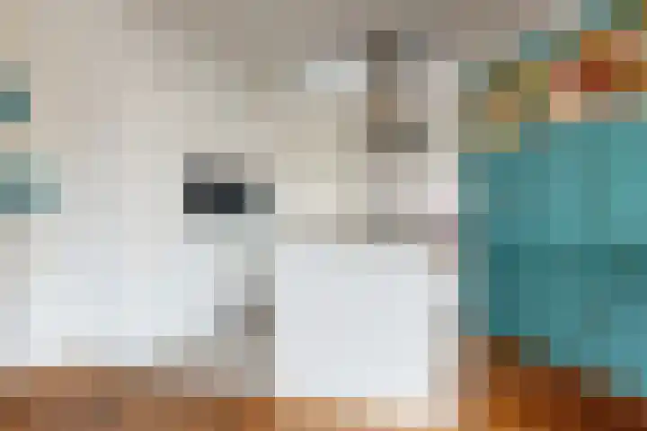 Duinstraat 3 Den Haag thumbnail 4