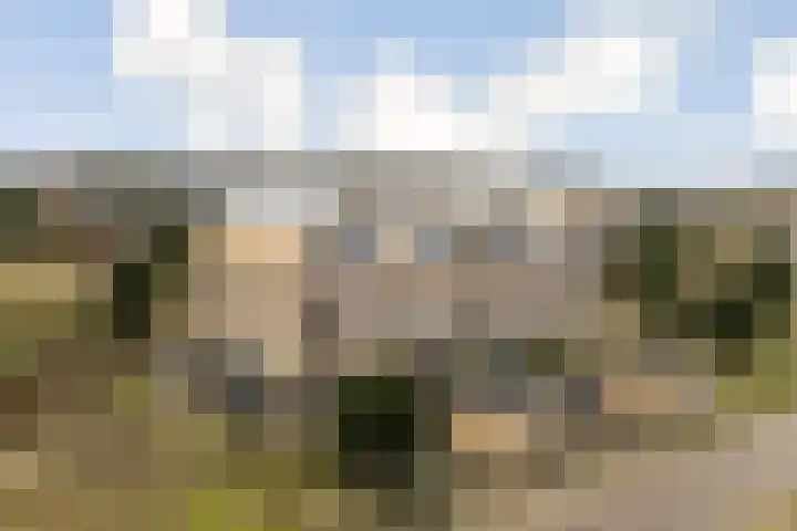 Duintopstraat 8 Almere thumbnail 33