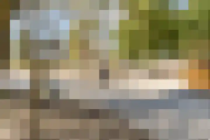 Duintopstraat 8 Almere thumbnail 38