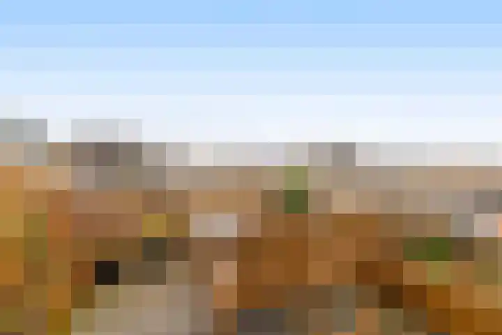 Duinvallei 3 Monster thumbnail 22