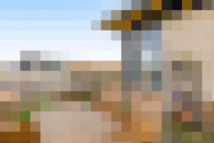 Duinvallei 3 Monster thumbnail 23