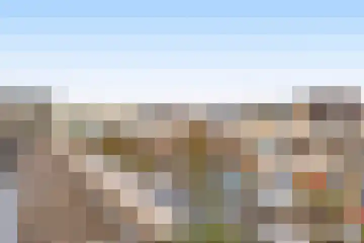 Duinvallei 3 Monster thumbnail 28