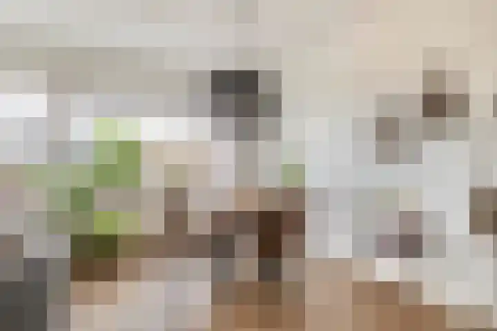 Duinvallei 3 Monster thumbnail 8