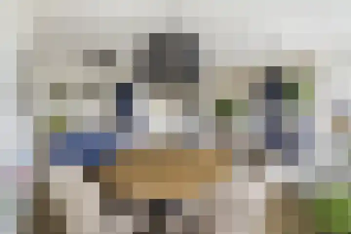 Duinvallei 3 Monster thumbnail 9