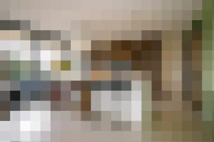 Duinvallei 66 Den Haag thumbnail 15