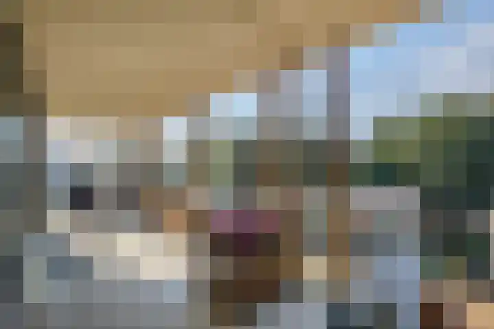 Duinvallei 66 Den Haag thumbnail 33