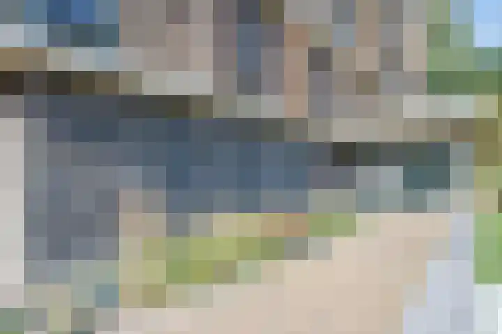 Duinvallei 66 Den Haag thumbnail 4