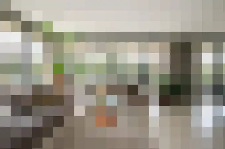 Duinvallei 66 Den Haag thumbnail 7