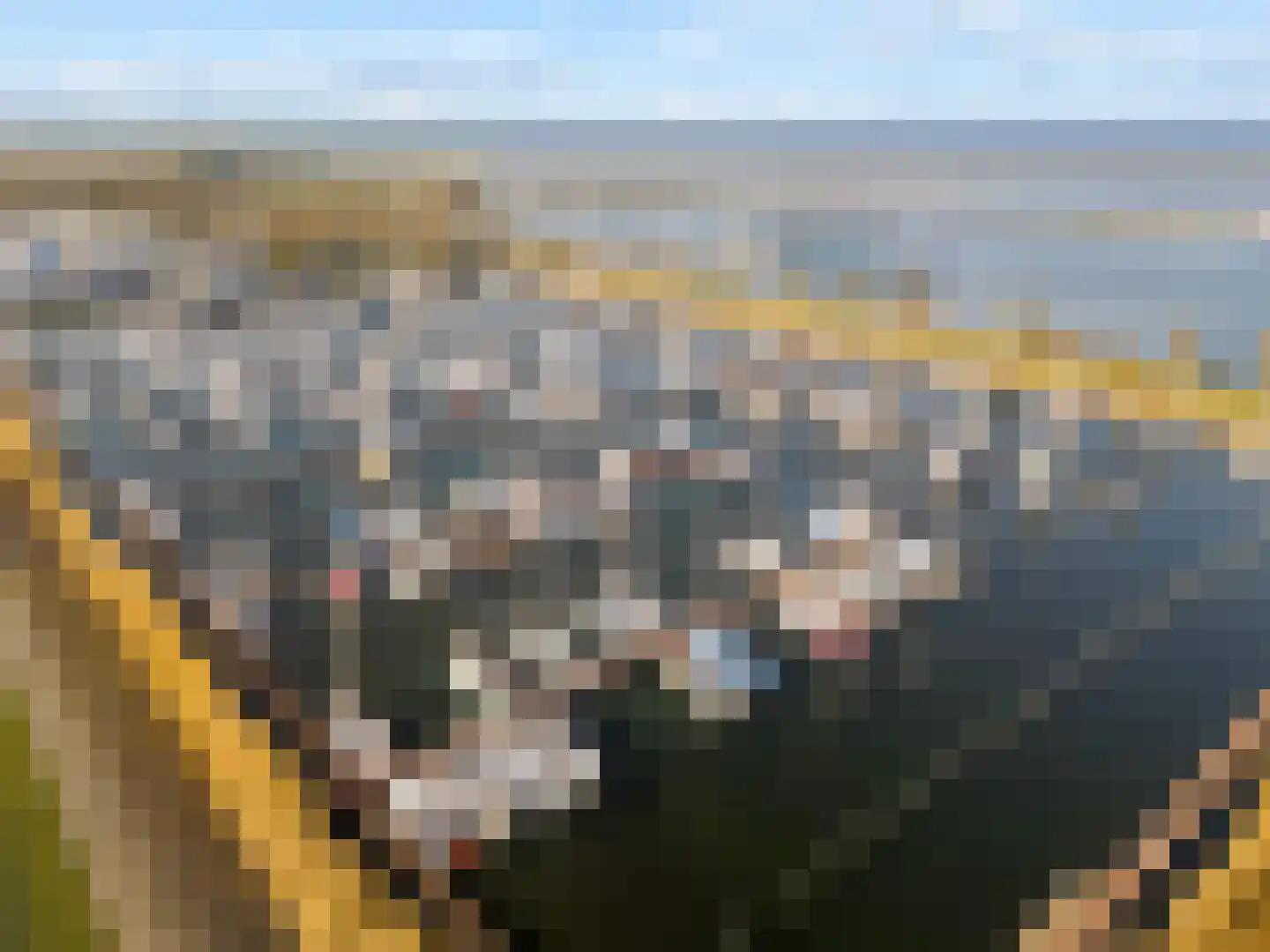 Duinvoet 48 Lelystad thumbnail 48