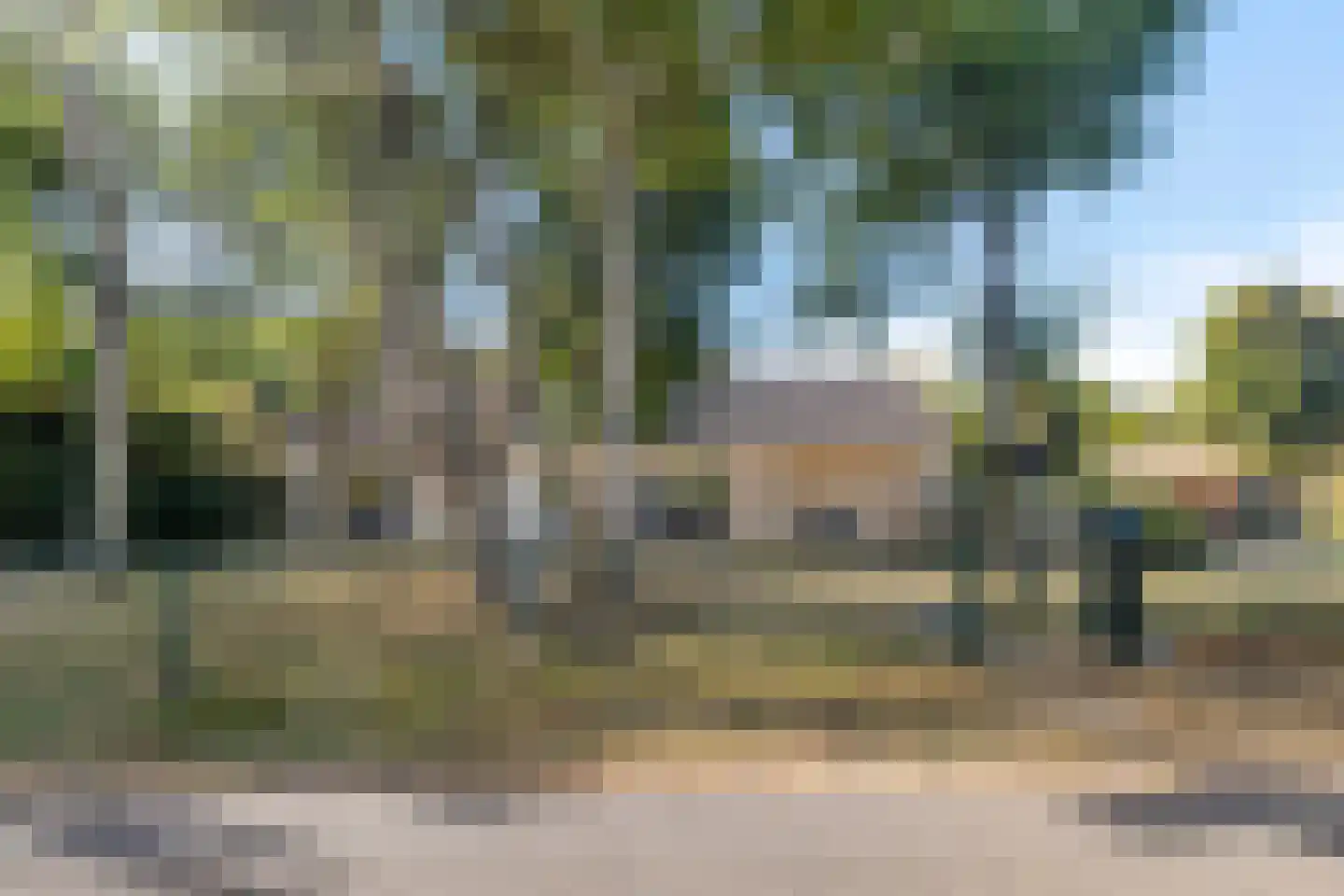Duinweg 28 Renesse thumbnail 43